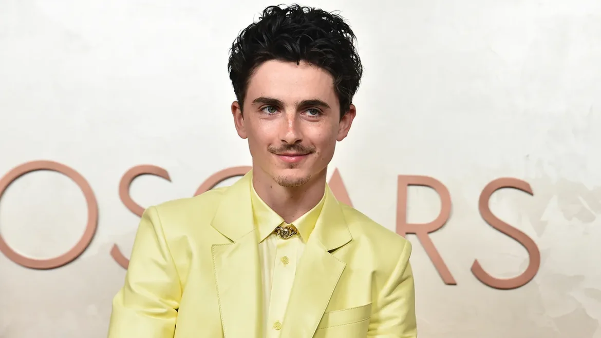 timothee chalamet oscars